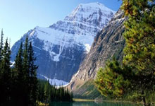 葛圣源竹盐玫瑰米醋